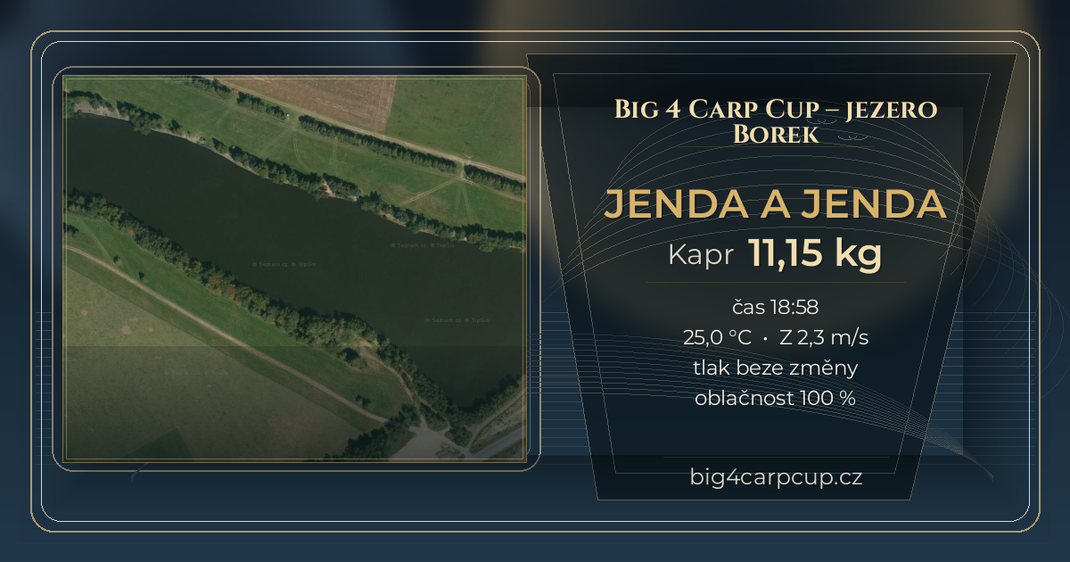 share card JENDA A JENDA