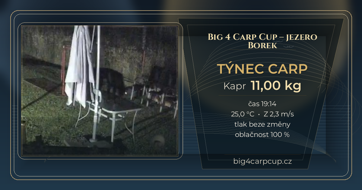 share card TÝNEC CARP