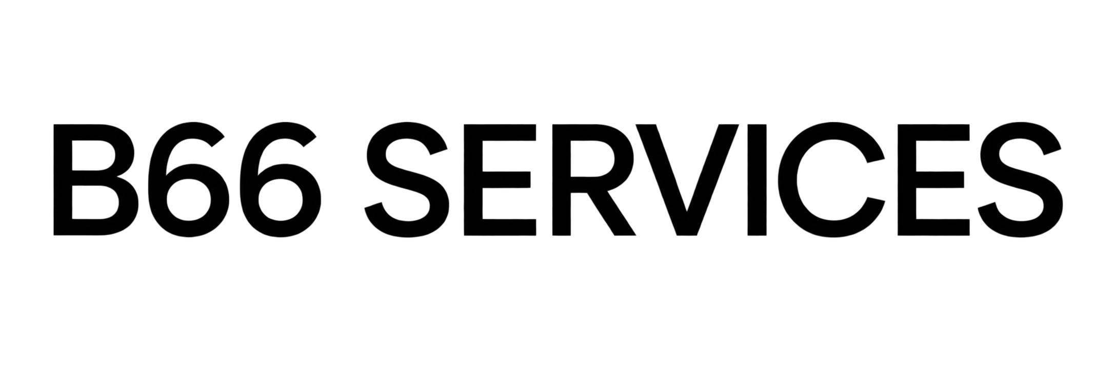 B66 SERVICES